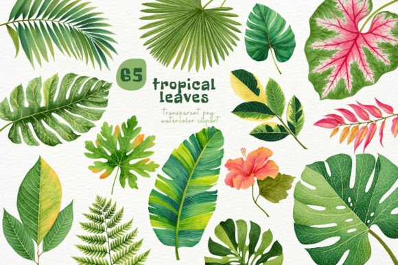 Download Watercolor Tropical Leaves PNG Clipart - Leaves Collection