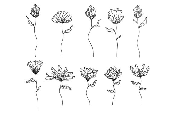 Download Collection of Hand Drawn Flowers - Premium Resources