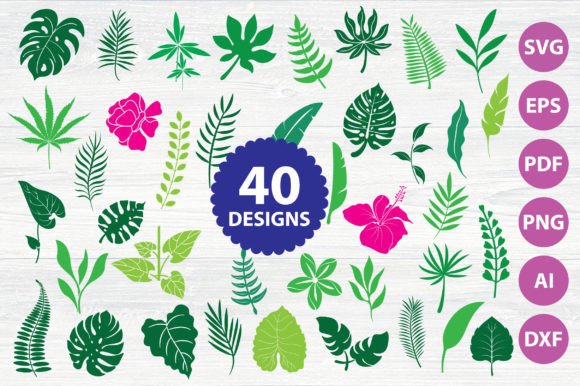 Download Monstera | Greenery | Tropical | Leaves - Leaves Collection